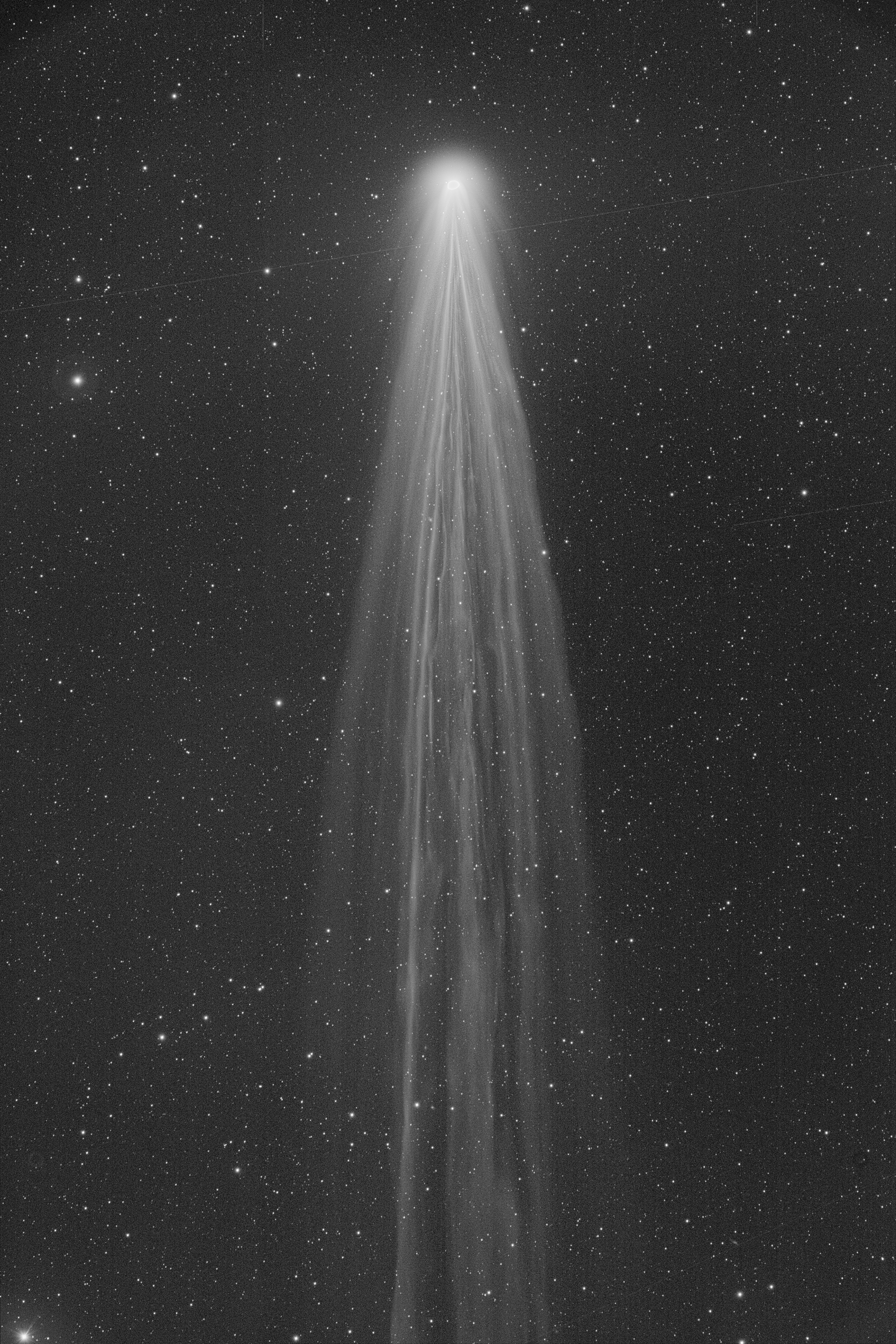 Comet Leonard - Michael Jaeger