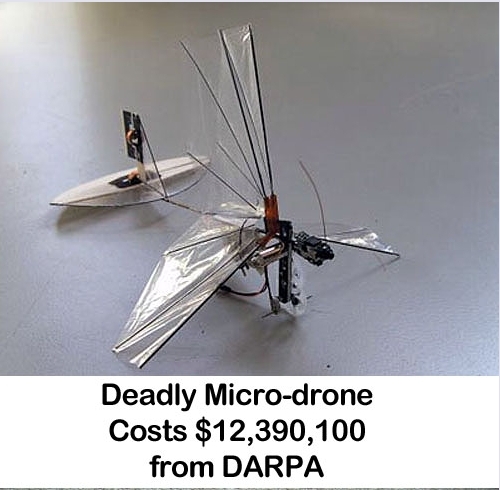 Insect drone