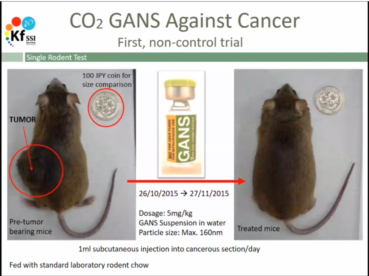 Keshe lab test mice - cancer - a