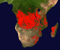 Wildfires in Africa